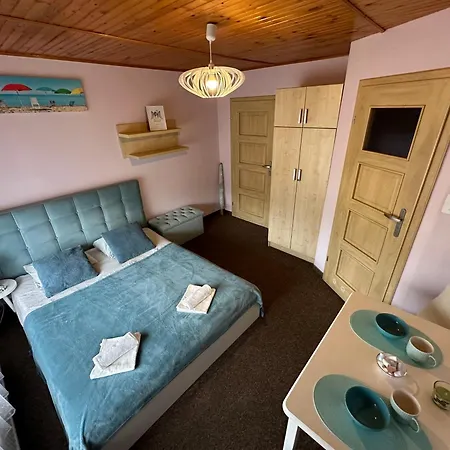 U Aniola Apartment Wladyslawowo Room photo